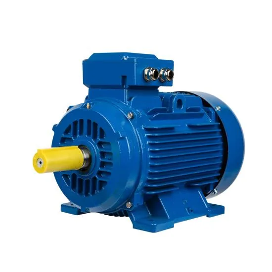 Three-Phase Electric Motor
